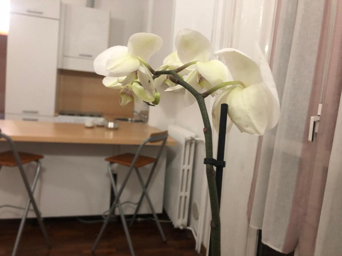Romantica Darsena Milánó Kültér fotó